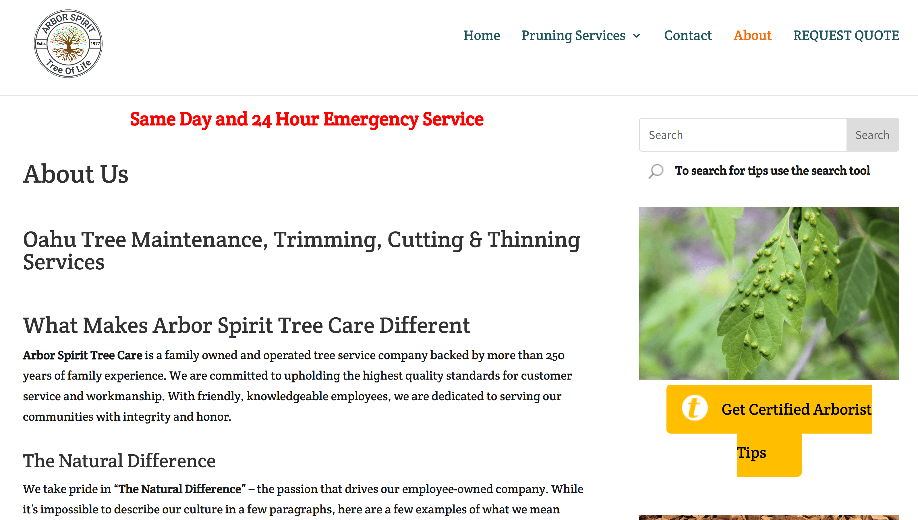Arbor Spirit Tree Care